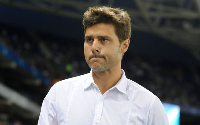 Five new signings for new Tottenham manager Pochettino including three former stars and Manchester United ace
