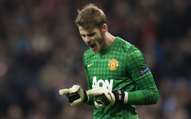 David de Gea Manchester United