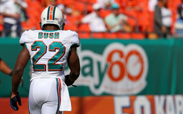 Reggie Bush looks set to become central point of Detroit Lions offence next season