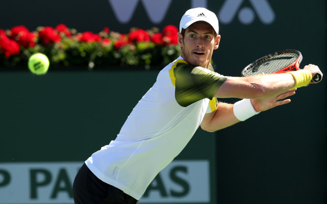 Andy Murray beats David Ferrer to Sony Open title and becomes world number 2