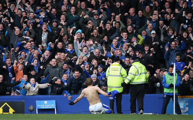 Nikica Jelavic Everton