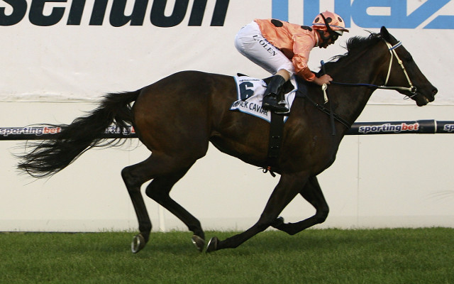 Australian horse racing legend Black Caviar retired to stud