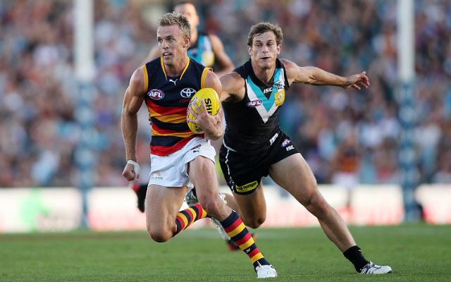 Adelaide Crows captain ruled out for a month due to bone bruising