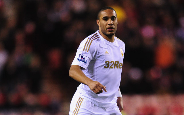 Ashley Williams Swansea City