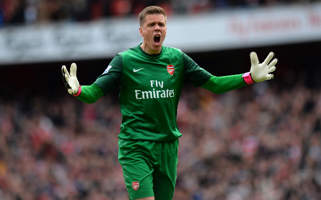 Arsenal goalkeeper Wojciech Szczesny injured in Poland training