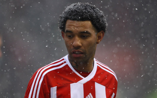 jermaine pennant stoke city