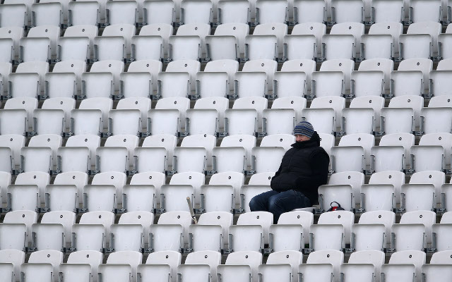 Cricket fan alone