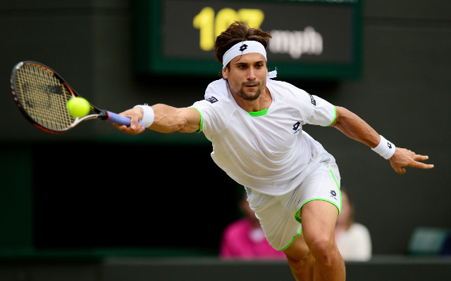 David Ferrer Wimbledon Tennis 2013