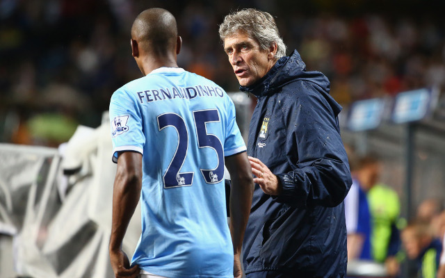 Fernandinho Manuel Pellegrini Manchester City