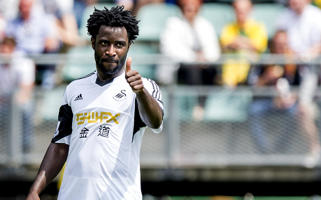 Wilfried Bony Swansea City