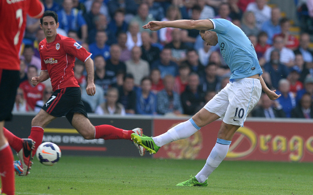 Edin Dzeko Manchester City