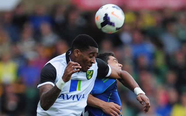 Leroy Fer Norwich