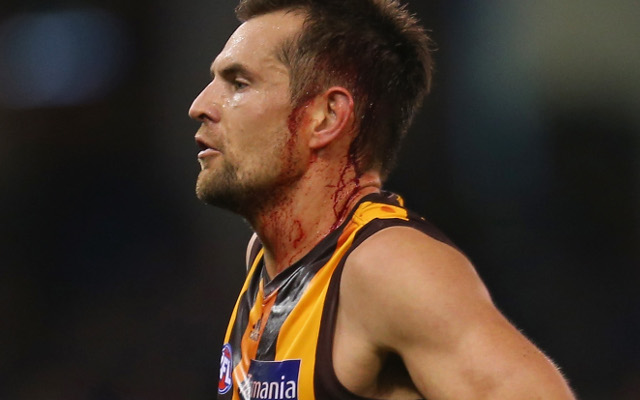 (Video) Hawthorn hold on to win against resilient North Melbourne Kangaroos