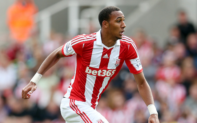 Steven N'Zonzi Stoke City