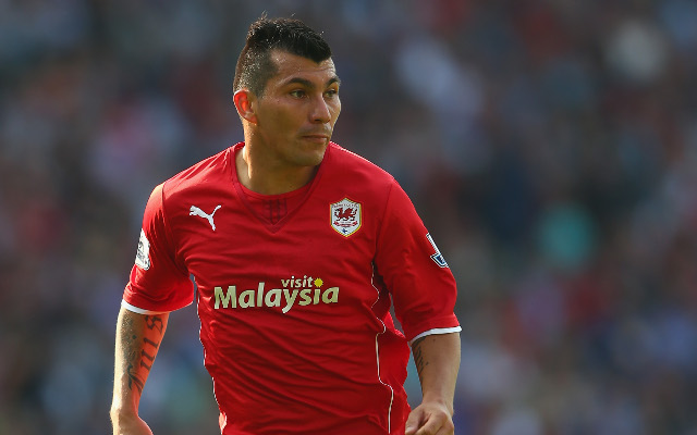 Gary Medel Cardiff City