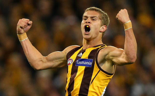 Hawthorn Hawks prove they are the team to beat for AFL title