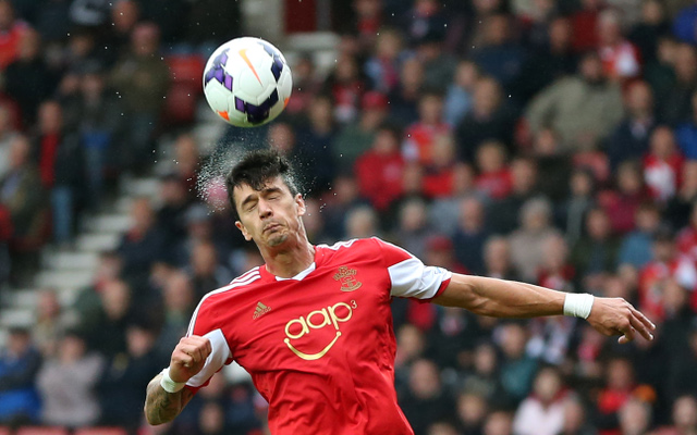 Jose Fonte Southampton