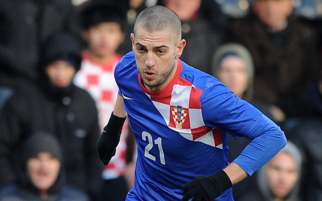 West Ham sign free agent Mladen Petric after Carroll injury blow