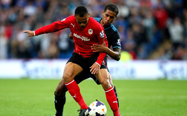 Odemwingie Naughton Cardiff Tottenham