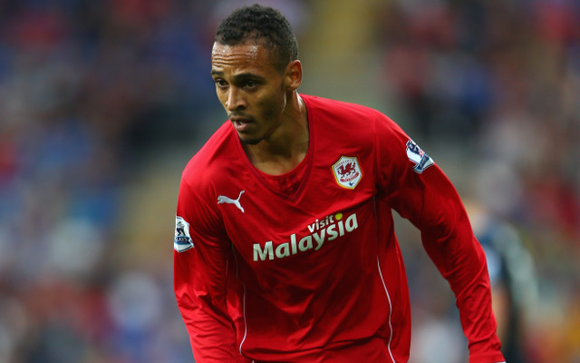 Peter Odemwingie Cardiff City