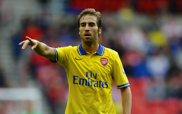 Mathieu Flamini proves he deserves place in Arsenal starting line-up (video)