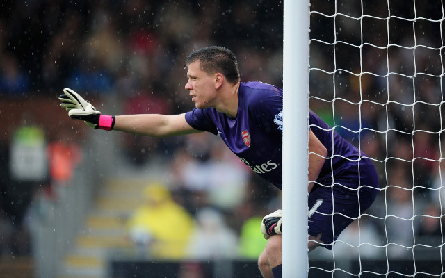 (Image) Wow: Arsenal keeper Szczesny mocks Tottenham following FA Cup victory