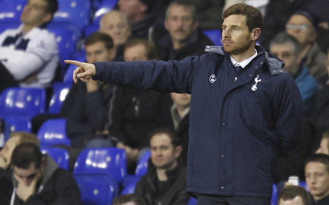 Tottenham sack manager Andre Villas-Boas (AVB): Check out five potential replacements