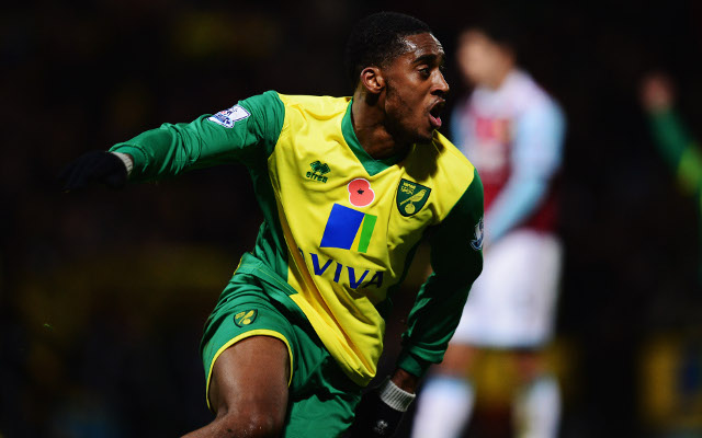 Leroy Fer Norwich