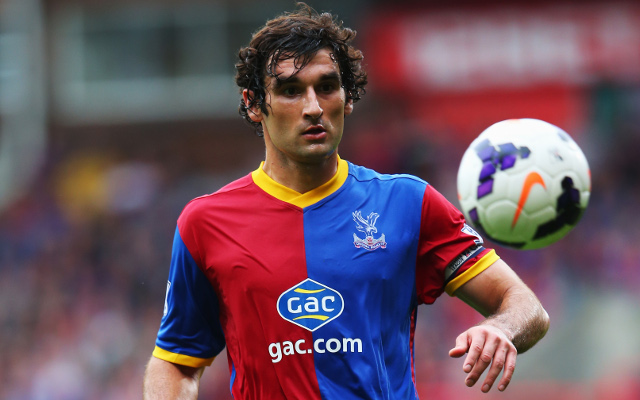 Mile Jedinak Crystal Palace