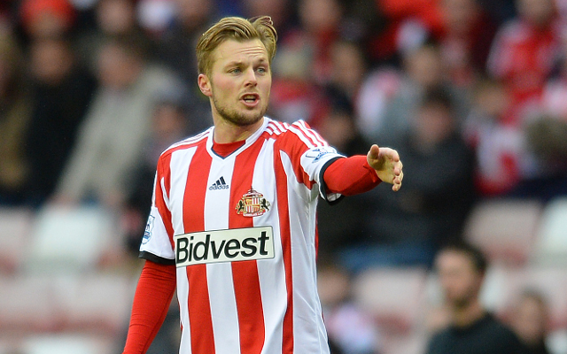 Sebastian Larsson Sunderland