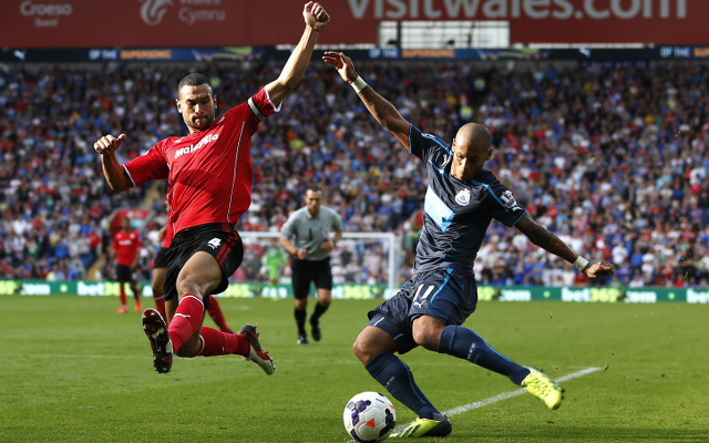 Steven Caulker Cardiff City