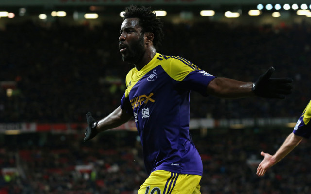 Wilfried Bony Swansea City