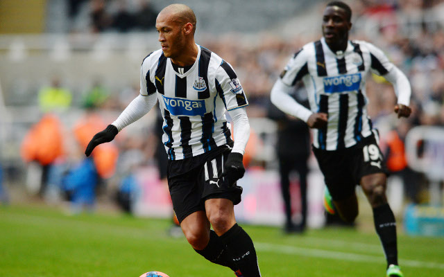 Yoan Gouffran Newcastle United