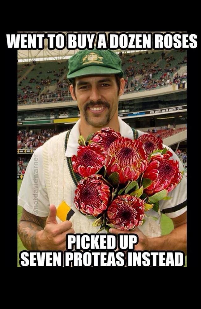 Mitchell Johnson meme