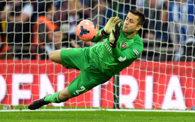 Arsenal fail in last ditch bid to secure goalkeeper