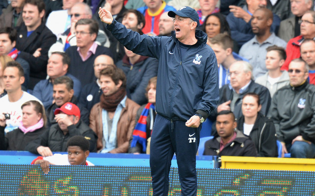 Tony Pulis Crystal Palace