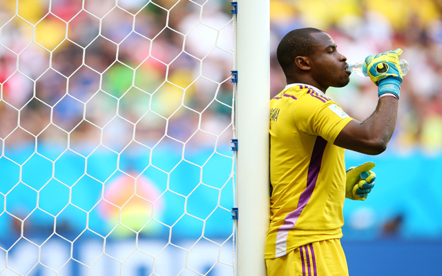 France v Nigeria: Round of 16 - 2014 FIFA World Cup Brazil