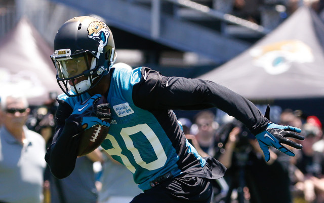 Jacksonville Jaguars wide receiver out with hamstring injury