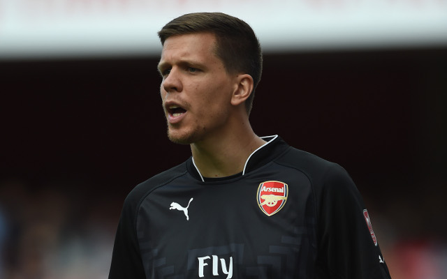 Arsene Wenger backs Wojciech Szczesny to lead Arsenal to FA Cup final