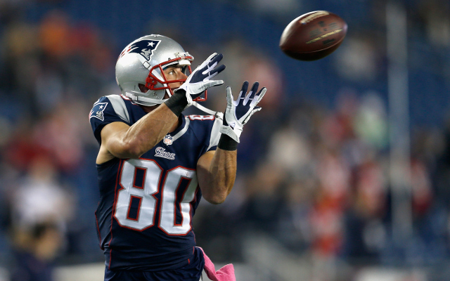 (Video) Flying Patriot! New England WR Amendola leaps for TD