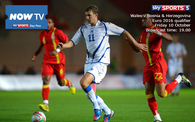 Private: Wales v Bosnia and Herzegovina: live stream guide and Euro 2016 qualification preview