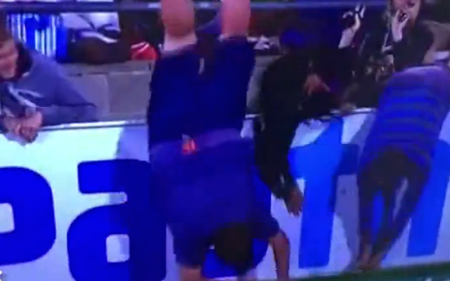 (Video) Watch the hilarious moment an Australian cricket fan falls headfirst over the hoardings to retrieve a ball