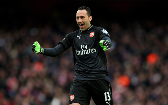 Arsenal to DUMP star stopper – not Petr Cech – to Premier League PUNKS