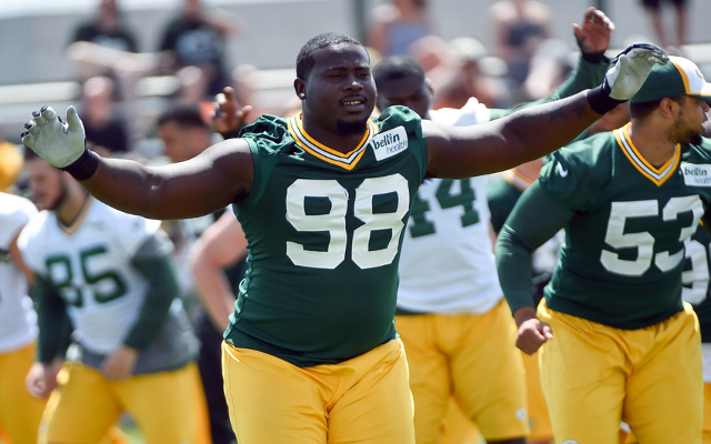 Green Bay Packers re-sign arrested DT Letroy Guion to one-year deal