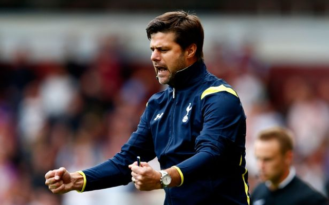 Mauricio Pochettino: Emmanuel Adebayor must be respected against Arsenal