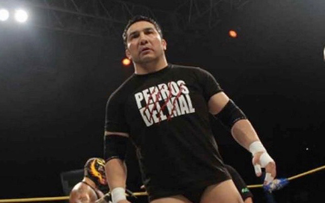 (Video) Tragedy in the ring! Pro wrestler Perro Aguayo Jr. dies after injuries sustained in wrestling match with Rey Mysterio