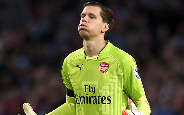 Petr Cech’s arrival from Chelsea a blessing in disguise for current Arsenal goalkeeper