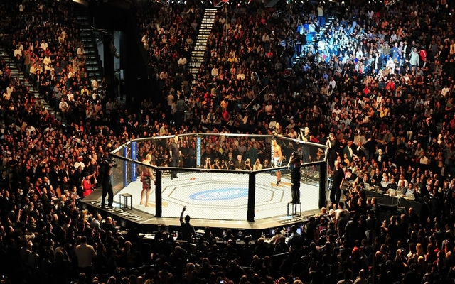 Private: MMA Sees Surge in Popularity